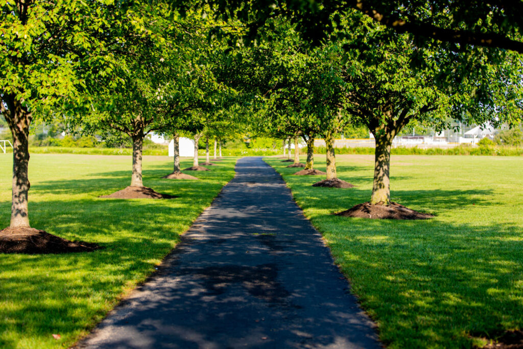 park path