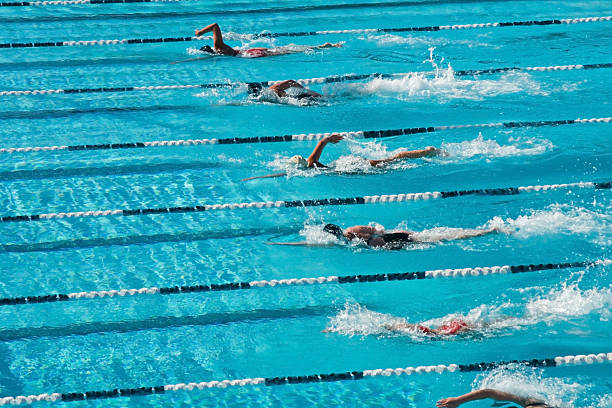 swimmers doing laps in a pool